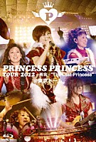 『PRINCESS PRINCESS　TOUR 2012～再会～“The Last Princess” at 東京ドーム』