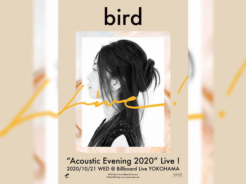 bird “Acoustic Evening 2020” Live !
