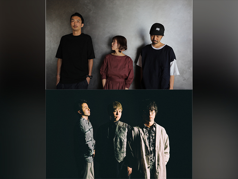 jizue × fox capture plan