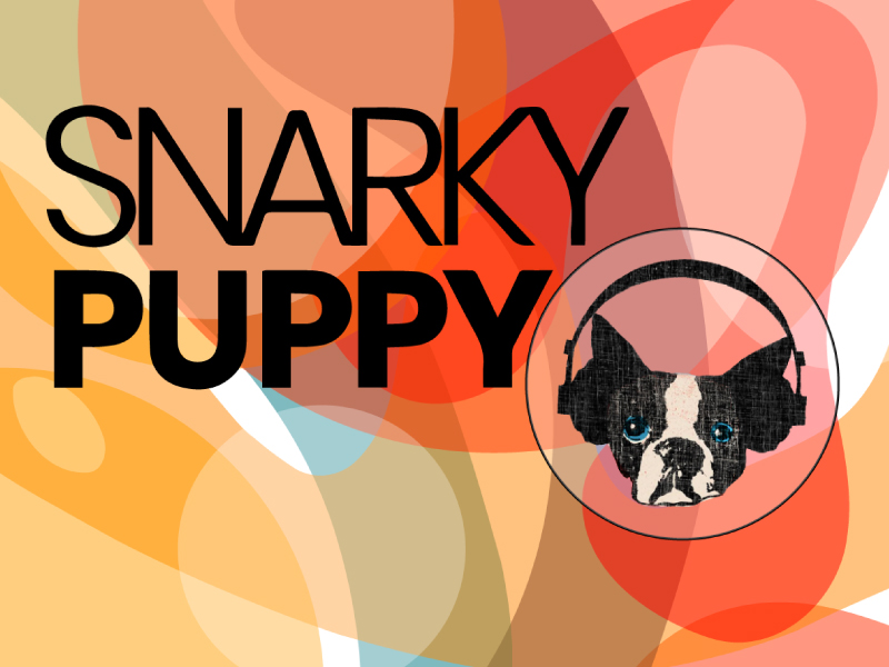 Snarky Puppy 