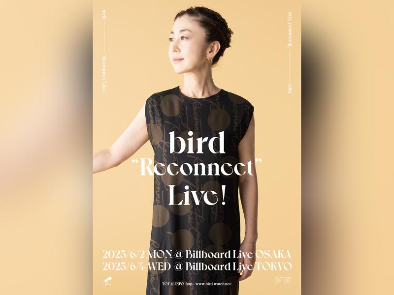 bird “Reconnect” Live!